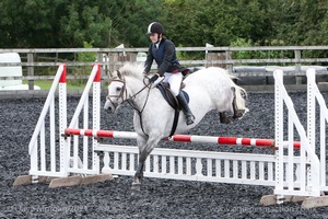 Class 7 - Fences 3' to 3'3